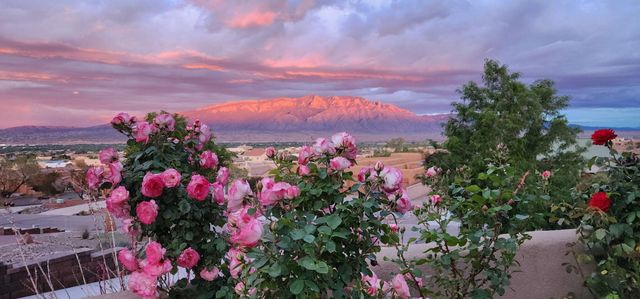 6809 Nagoya Road NE, Rio Rancho, NM 87144