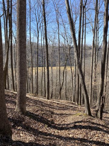 0 Bridge Pointe Rd, Sparta, TN 38583