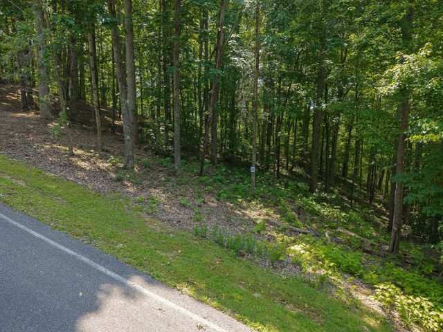 0 Bridge Pointe Rd, Sparta, TN 38583