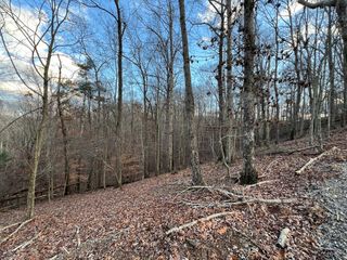 Lot 403 Crown Court, Ellijay, GA 30540