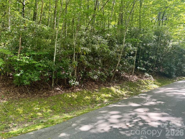 115 Black Oak Drive, Sapphire, NC 28774