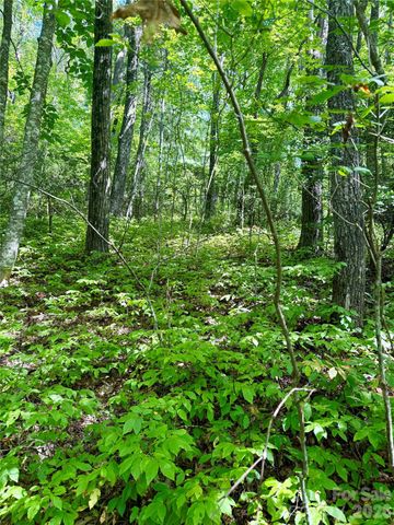 115 Black Oak Drive, Sapphire, NC 28774