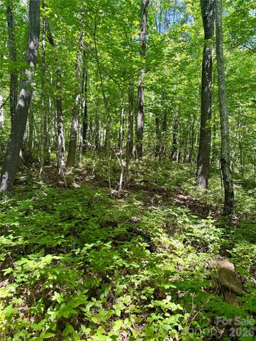115 Black Oak Drive, Sapphire, NC 28774