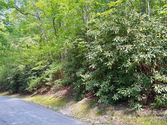 115 Black Oak Drive, Sapphire, NC 28774