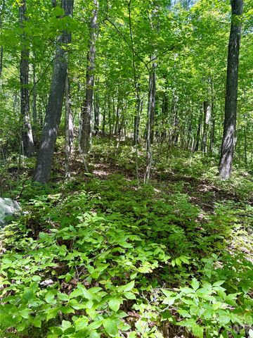 115 Black Oak Drive, Sapphire, NC 28774