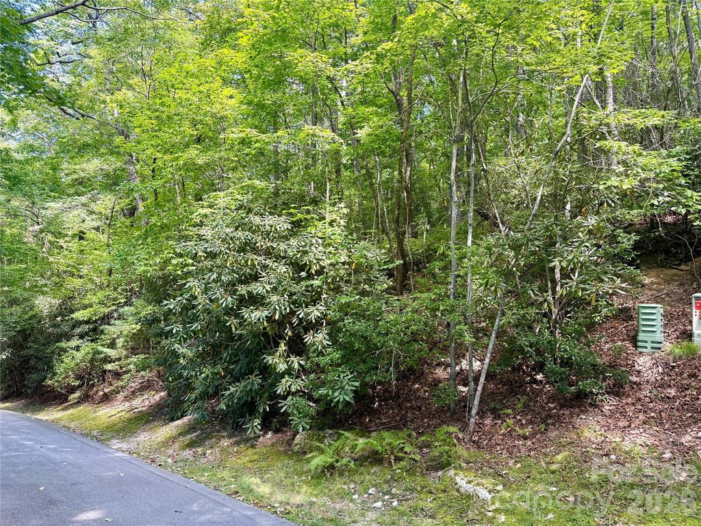 115 Black Oak Drive, Sapphire, NC 28774
