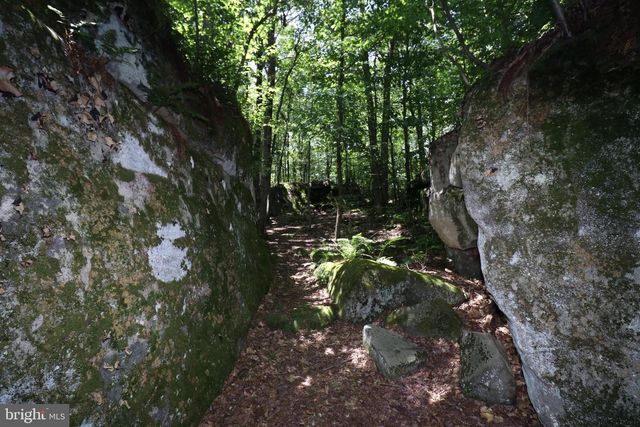 219 MOUNTAINTOP RD, Mc Henry, MD 21541