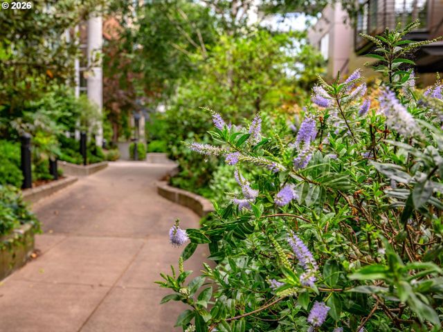 922 Nw 11TH Ave 505, Portland, OR 97209