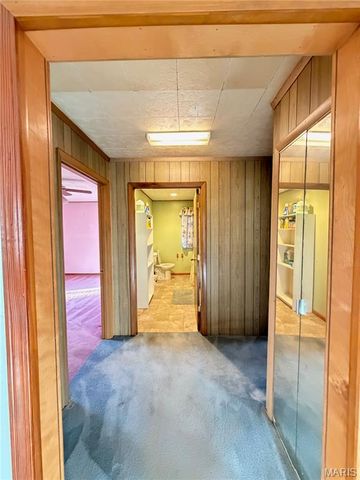 1620 County Road 5170, Salem, MO 65560