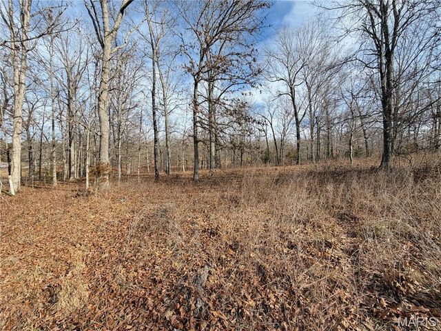 1620 County Road 5170, Salem, MO 65560