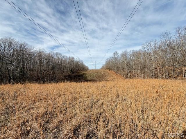 1620 County Road 5170, Salem, MO 65560