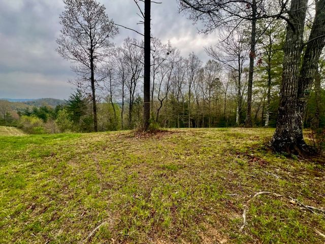 Tr 47 Majestic Mountain Trail, Murphy, NC 28906