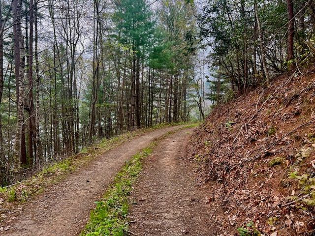 Tr 47 Majestic Mountain Trail, Murphy, NC 28906