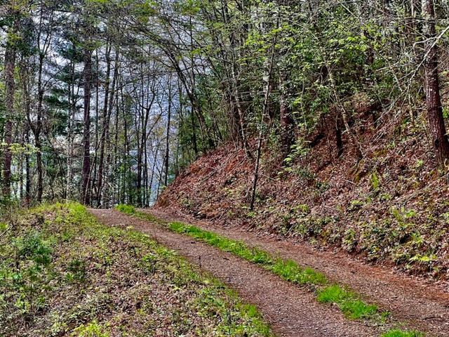 Tr 47 Majestic Mountain Trail, Murphy, NC 28906