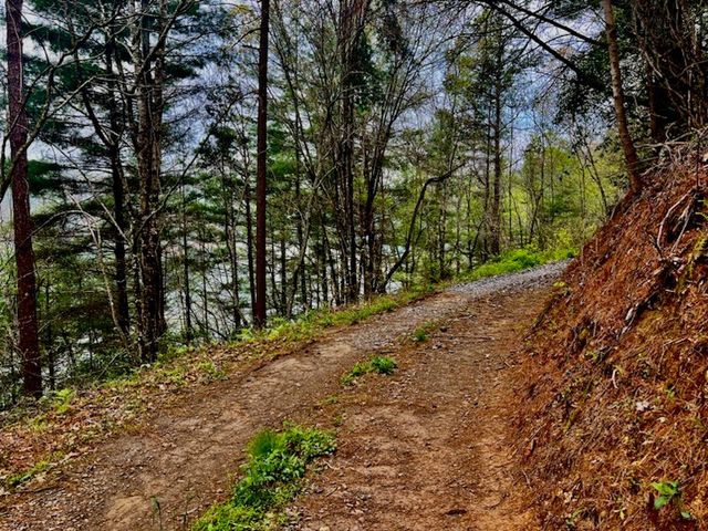 Tr 47 Majestic Mountain Trail, Murphy, NC 28906