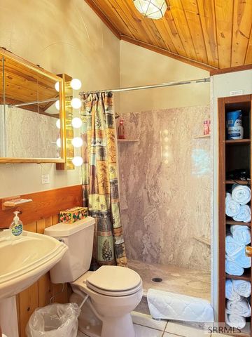 4080 Red Rock Road, Island Park, ID 83429