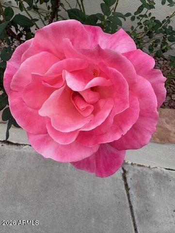 155 N BROOKSIDE Street, Chandler, AZ 85225