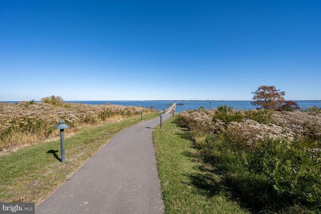 266 PEREGRINE DR, Chester, MD 21619