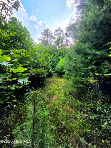 50 Camp Branch Road, Topton, NC 28781
