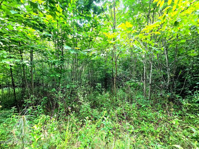 50 Camp Branch Road, Topton, NC 28781
