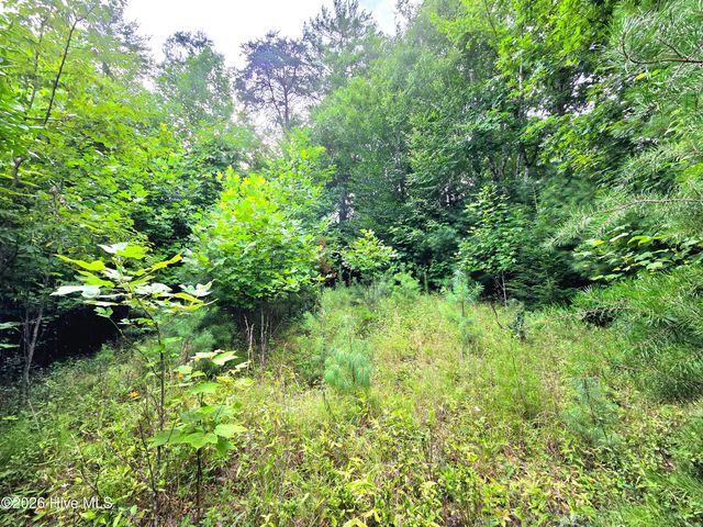 50 Camp Branch Road, Topton, NC 28781