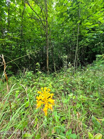 50 Camp Branch Road, Topton, NC 28781