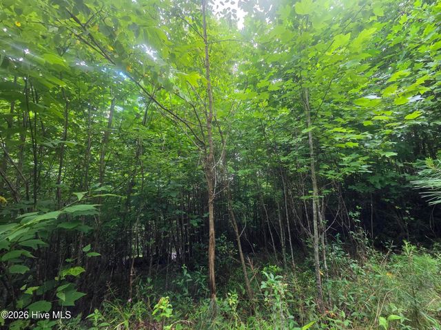 50 Camp Branch Road, Topton, NC 28781