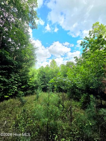 50 Camp Branch Road, Topton, NC 28781