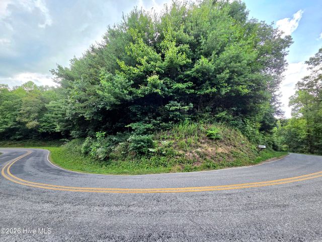 50 Camp Branch Road, Topton, NC 28781