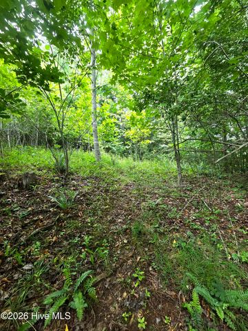 50 Camp Branch Road, Topton, NC 28781