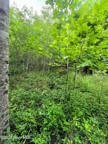 50 Camp Branch Road, Topton, NC 28781