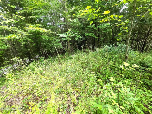 50 Camp Branch Road, Topton, NC 28781