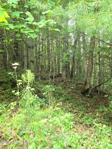 50 Camp Branch Road, Topton, NC 28781