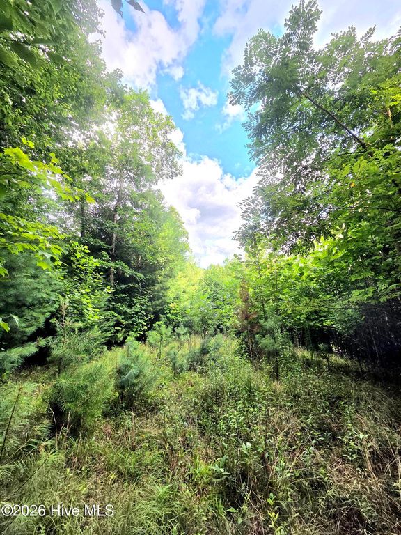 50 Camp Branch Road, Topton, NC 28781