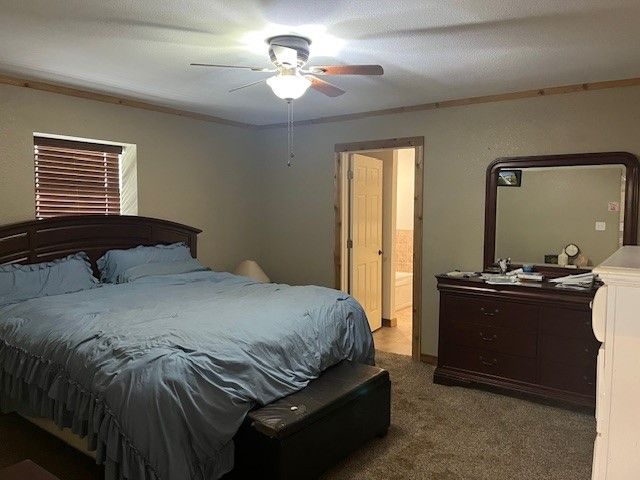 358 Vz County Road 2313, Canton, TX 75103