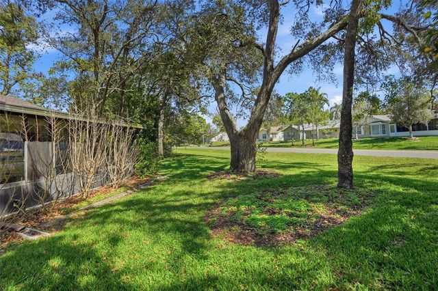 6630 BRAMBLELEAF DRIVE, Spring Hill, FL 34606