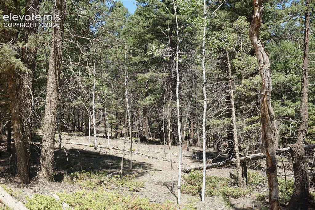 616 Indian Creek Road, Florissant, CO 80816 — exterior