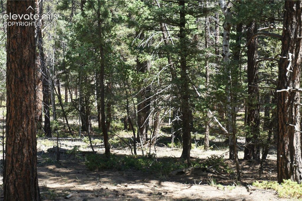 616 Indian Creek Road, Florissant, CO 80816 — photo 4