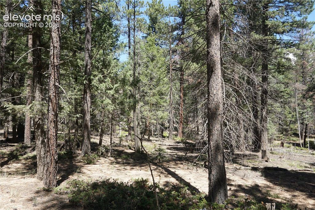 616 Indian Creek Road, Florissant, CO 80816 — photo 5
