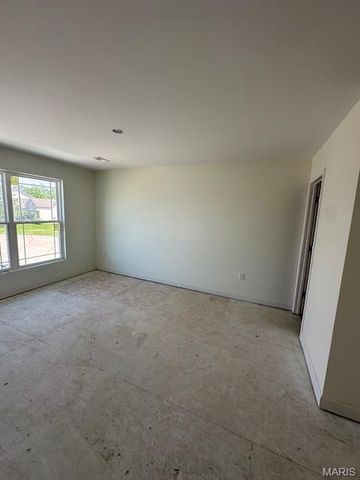 1514 Orchard Lakes Circle, Belleville, IL 62220