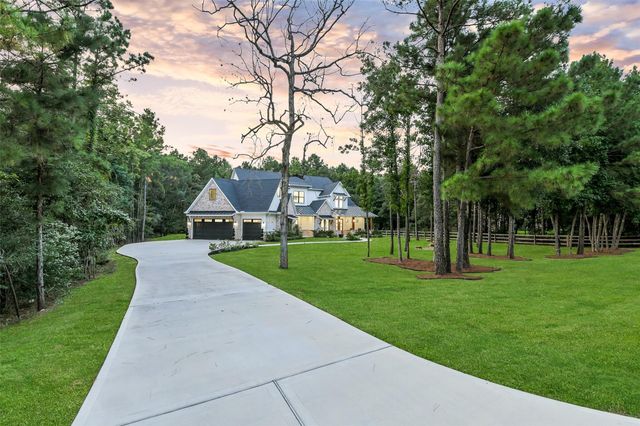 13142 Royal Hill Court, Montgomery, TX 77316