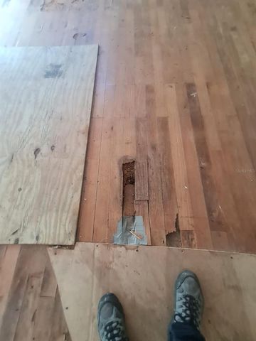 5241 67TH STREET N, St Petersburg, FL 33709