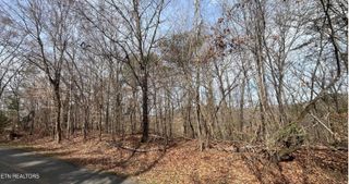 Mountain View Lane, Lot #1101, Baneberry, TN 37890