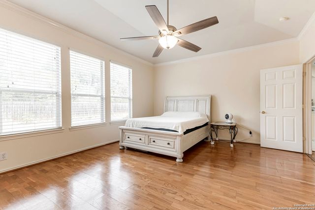 3623 Horsemint, San Antonio, TX 78247