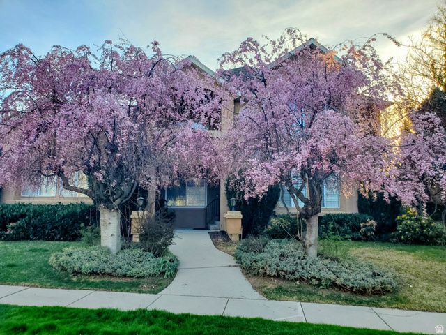 2156 E GAMBEL OAK DR, Sandy, UT 84092