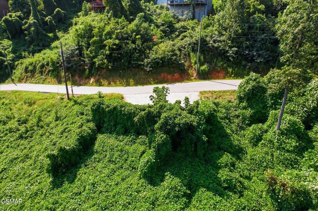 812 Beanstalk Court, Gatlinburg, TN 37738