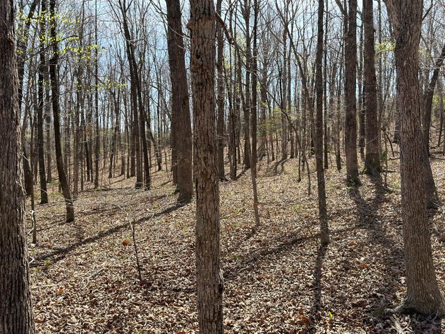 2731 County Road 250, Thayer, MO 65791