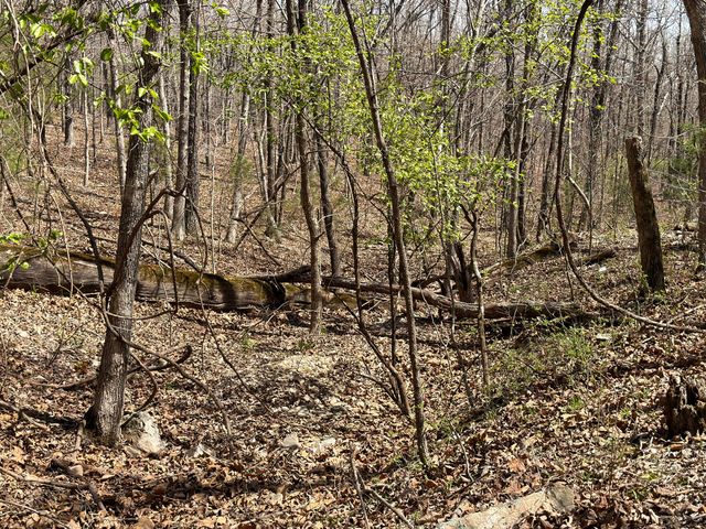 2731 County Road 250, Thayer, MO 65791