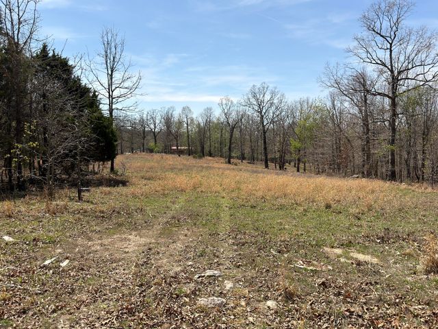 2731 County Road 250, Thayer, MO 65791