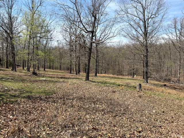 2731 County Road 250, Thayer, MO 65791